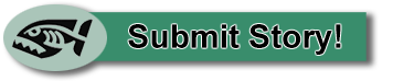 Submit